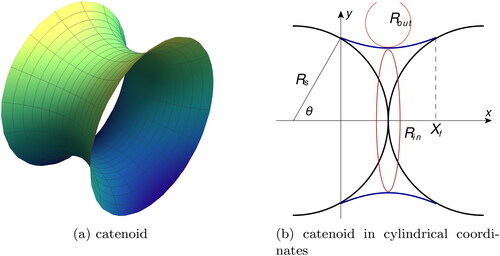 Figure 5. A surface of the fluid in the gap between two spheres forms a catenoid (a). For calculation of the curvature of its surface, we use a cylindrical coordinate system – (b). The two radii of curvature, describing the shape, are shown here: inside Rin and outside Rout.