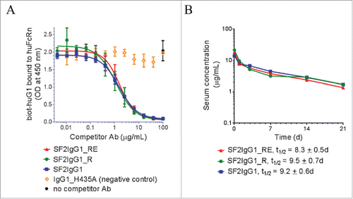 Figure 5. FcRn binding and pharmacokinetic analysis of engineered SF2 antibodies. (A) Competitive binding of SF2 antibodies to human FcRn at pH 6.0. Serially-diluted test antibodies were co-incubated at pH 6.0 with a constant concentration of biotinylated human IgG1 (biot-huIgG1) on a plate coated with human FcRn extracellular domain. Remaining bound biot-huIgG1 was detected with streptavidin-HRP developed with TMB substrate and read at 450 nm. (Data expressed as mean OD450 ± SEM, n = 2). (B) Pharmacokinetic analysis of SF2 antibodies in Tg32 SCID mice. Test antibodies were administered at an intravenous dose of 2 mg/kg, and serial retro-orbital bleeds were taken from each animal at indicated time points. PK profiles of each Ab were displayed as a semi-log plot serum concentration vs time. (Data expressed as mean ± SEM, n = 5).