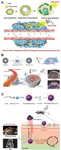 Figure 3 (A) Schematic illustration of Echo-CNPs. Reprinted from Theranostics. Min HS, You DG, Son S et al. Echogenic glycol chitosan nanoparticles for ultrasound-triggered cancer. Theranostics. 2015;5:1402–1418. Copyright 2015, with permission from Ivyspring International Publisher.Citation54 (B) Schematic illustration of GNR@SiO2-PFP for US/PA dual-modality imaging. Reprinted from Advanced Materials. Li C, Zhang Y, Li Z et al. Light-responsive biodegradable nanorattles for cancer theranostics. © 2017 WILEY-VCH Verlag GmbH & Co. KGaA, Weinheim.Citation55 (C) Schematic illustration of PFH/DOX@PLGA/Fe3O4-FA NPs for US/MR dual-modality imaging and chemotherapy/HIFU synergistic therapy. Reprinted with permission from ACS Applied Materials and Interfaces. Tang H, Guo Y, Peng L et al. In vivo targeted, responsive, and synergistic cancer nanotheranostics by magnetic resonance imaging-guided synergistic high-intensity focused ultrasound ablation and chemotherapy, pages 15428–15441. Copyright 2018 American Chemical Society.Citation56