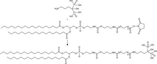 Figure 2 Schematic representation of reaction between sodium AL and DSPE-PEG3,400-NHS to produce DSPE-PEG3,400-AL.Abbreviations: AL, alendronate; DSPE-PEG3,400-NHS, 1,2-distearoyl-sn-glycero-3-phosphoethanolamine-N-(N-hydroxysuccinimide-[polyethylene glycol]-3,400).