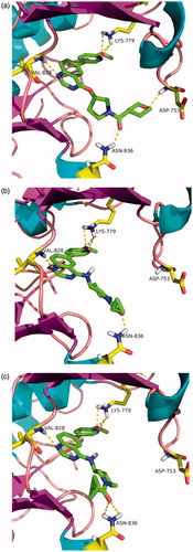 Figure 3. Molecular docking studies of Compounds 12d (a), 14b (b) as well as 14c (c) into the site of PI3Kδ (PDB code: 2WXP). Compound is shown as sticks. Hydrogen bonds within 2.5 Å are shown as yellow dashed lines.