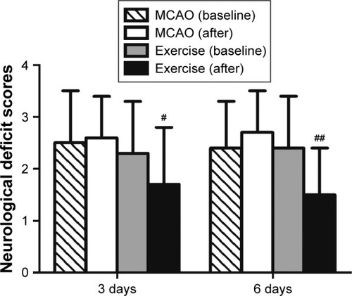 Figure 2 Exercise improved motor function after ischemic brain injury.