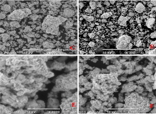 Figure 7. SEM image of compound (3) in different size ranges, E-H (10, 20, 50, and 100 µm).