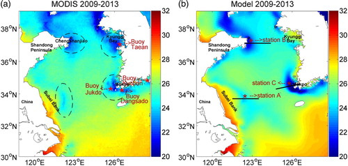 Fig. 5 Distribution of monthly mean SST (°C) for July to August of 2009–2013 from (a) MODIS and (b) model results. The SCPs are marked with dashed ellipses. Locations of stations referred to in Fig. 7 are indicated by asterisks.