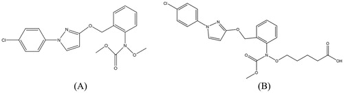 Figure 1. Chemical structures of pyraclostrobin (A) and its hapten (B).
