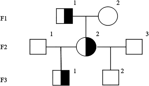 Figure 3. Genetic profile of the patient with TP53 c.848G>A (p.Arg283His) mutations.Note: In F3, the number ‘1’ and ‘2’ mean the son A and the son B, respectively.