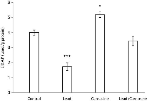 Figure 3. Effects of long-term carnosine administration on antioxidant power (FRAP value) in liver homogenates samples of control, lead, carnosine (10 mg/kg) treated control (carnosine) and carnosine (10 mg/kg) treated lead (lead + carnosine) groups (n =7) at 8 weeks after treatments. The data are represented as mean ± SEM. *p<0.05, **p<0.01 and * * *p<0.001 (as compared with the control group).
