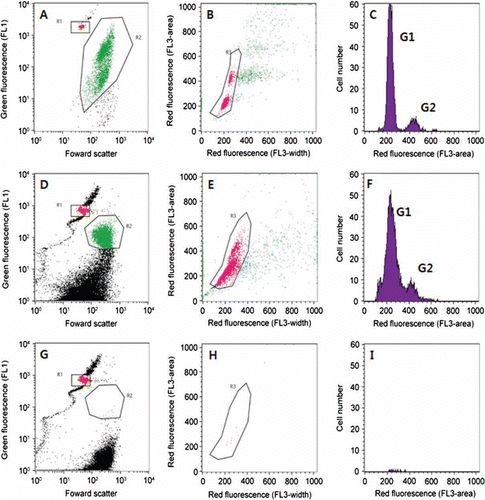 Figure 5  Flow cytometric signatures of Heterosigma akashiwo. A–C, Signatures of H. akashiwo strain after fluorescence in situ hybridization (FISH). D–I, Signatures of cells collected from Korean coastal waters after FISH. A, Detection of H. akashiwo cells after FISH; red dots indicate 6 m beads; green dots indicate H. akashiwo cells detected with green fluorescence after FISH. B, Discrimination of doublet and singlet cells of H. akashiwo; pink dots indicate singlet cells discriminated by peak area and peak width (length) of red fluorescence of detected cells (green dots) in panel A. C, DNA histograms of H. akashiwo gated in panel B (composed of singlet cells discriminated in panel B). D–F, Samples hybridised with HSIG1284 probe. G–I, Samples hybridised with NON338 probe.
