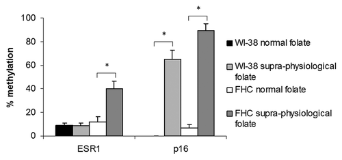 Figure 3. CpG island methylation of ESR1 and p16 in human fibroblasts (WI-38) and colon epithelial cells (FHC) exposed to normal (n = 12) or supra-physiological (n = 18) folate concentrations for 3 passages. Columns and bars show the mean ± standard error. *p < 0.01.