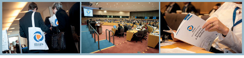 Figure 1. The Societal Impact of Pain Symposium took place during 3–4 May 2011 in the European Parliament in Brussels.