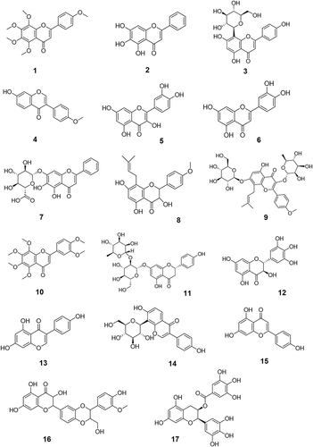 Figure 1 The chemical structures of anti-tumor flavonoids with clinical trials data.