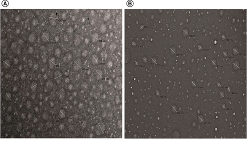 Figure 1. Mobile phase aggregate formation shown through transmission electron microscopy.Transmission electron microscopy images using carbon-coated nickel grids of the mobile phase containing 65 mM N,N-Diisopropylethylamine (DIEA) and 50 mM HFIP in 10% methanol heated at 60°C. (A) After drying at 60°C. (B) After drying at room temperature.Reprinted with permission from Li et al., Journal of Chromatography A [Citation37].