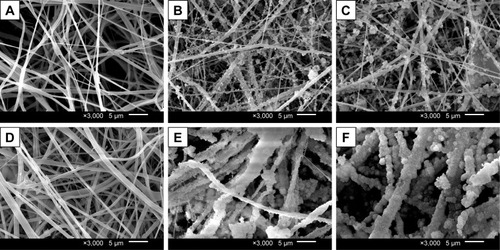 Figure 5 SEM photos of the electrospun membranes after immersion in SBF: (A) CS, (B) A0, and (C) A1 for 1 week; (D) CS, (E) A0, and (F) A1 for 2 weeks.Abbreviations: CS, chitosan; SBF, simulated body fluid; SEM, scanning electron micrograph.