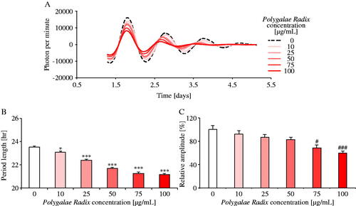 Figure 4. Comparison of the effects of different Polygalae Radix concentrations on PER2::LUC expression rhythms in MEFs. (A) Representative de-trended data for MEFs treated with different Polygalae Radix concentrations. (B) Effects of the different Polygalae Radix concentrations on rhythmic PER2::LUC expression period length. (C) Effects of the different Polygalae Radix concentrations on the PER2::LUC bioluminescence amplitude of peak 1. Data are presented as mean ± SEM (0 μg/mL, n = 6; 25 and 75 μg/mL, n = 4; 10, 50 and 100 μg/mL, n = 8). *p < 0.05, ***p < 0.001 versus 0 μg/mL (one-way ANOVA with Dunnett’s multiple comparisons test). #p < 0.05, ###p < 0.001 versus 0 μg/mL (Kruskal–Wallis test with Dunn’s multiple comparisons test).