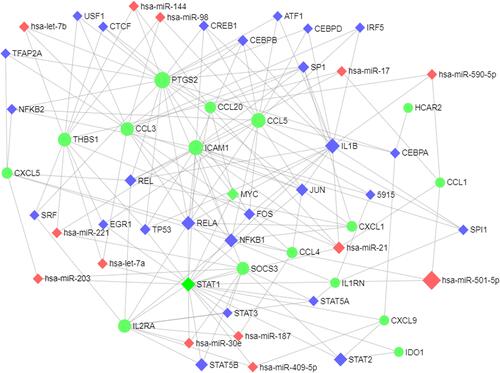 Figure 9 Integrative regulatory network of TF-DEG-miRNA.