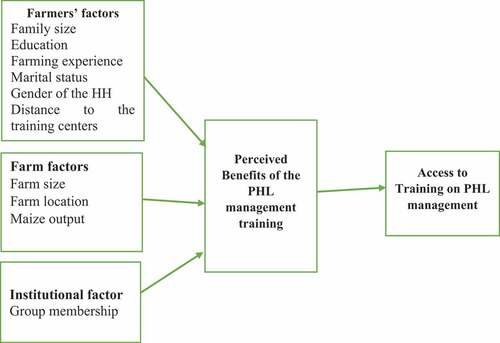 Figure 1. Conceptual framework.