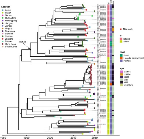 Figure 2. Phylogeny of ST338 isolates. We aligned 43 ST338 genome sequences (13 from our study, 30 from that by NCBI database) and 63 ST59 sequence (33 from our database and 30 from NCBI). Isolate characteristics are shown on the right, including the location, host and Spa type.