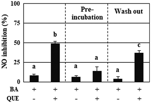 Figure 2. Quercetin, but not decomposed products, persistently enhanced the anti-inflammatory activity of B. adolescentis. The samples used for the experiments were as follows: (left column) B. adolescentis and quercetin were simultaneously added to the medium, followed by incubation for 3 h; (center column) B. adolescentis was added to the quercetin-preincubated medium, followed by incubation for 3 h; (right column) B. adolescentis was incubated with quercetin for 3 h, washed with PBS, and then incubated in fresh medium for a further 3 h. The final concentration of quercetin was 25 μM. DMSO (0.05%) was used as a control. Supernatants of the incubated media were collected and evaluated for suppressive effects on NO production in LPS-stimulated macrophages. Data are shown as means ± SD (n = 3) and were analyzed for statistically significant differences by multiple comparison testing (Tukey–Kramer test). Different letters indicate significant differences (p < 0.05). BA, B. adolescentis; LPS, lipopolysaccharide; QUE, quercetin.