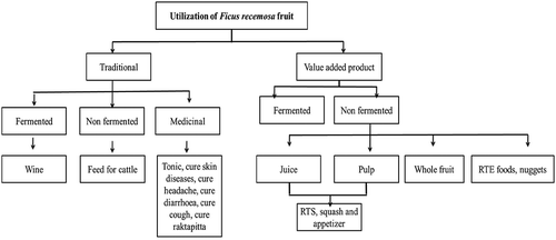 Figure 2. Modern utilization of F. racemosa.