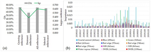 Figure 12. Results of (a) classification using reflectance, and selected reflectance refers to reflectance without coastal aerosol and water vapor bands in the growing season); (b) the importance of different bands of S2 for bedrock classification.