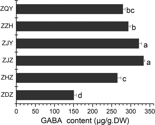 Figure 3. Effect of harvest, drying and storage on GABA in jujube fruit (Z. jujuba Mill.cv.Junzao). FF1: fresh jujube fruit was harvested on October 6th, 2016, FF2: fresh jujube fruit was harvested on November 8th, 2016, DF: FF2 was dried by hot air at 55°C for 24 h, SF1: DF was stored at ambient temperature for 6 months, and SF2: DF was stored at ambient temperature for 12 months. Different letters in each column indicate significant difference (p ≤ 0.05 and n = 3), according to Tukey’s test.Figura 3. Efecto de la cosecha, el secado y el almacenamiento en el GABA de la fruta de azufaifo (Z. jujuba Mill.cv.Junzao). FF1: La fruta fresca de azufaifo se cosechó el 6 de octubre de 2016, FF2: la fruta fresca de azufaifo se cosechó el 8 de noviembre de 2016, DF: FF2 se secó con aire caliente a 55°C durante 24 h, SF1: DF se almacenó a temperatura ambiente durante 6 meses, y SF2: DF se almacenó a temperatura ambiente durante 12 meses. Las diferentes letras en cada columna indican una diferencia significativa (p ≤ 0.05 y n = 3), según la prueba de Tukey.