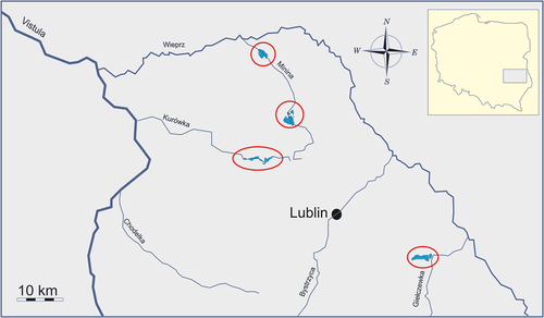 Figure 1. Location of study sites in eastern Poland (Lublin region). Red ovals outline pond complexes comprising the study ponds. Inset shows location of the study region within Poland.