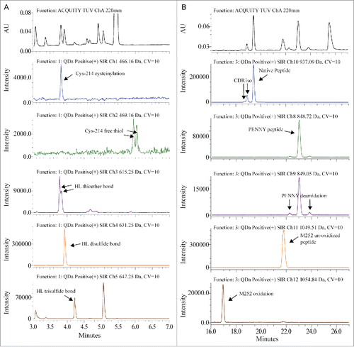 Figure 1. Overlay of UV spectrum with SIR channels. (A) Disulfide bond modifications were monitored between 3 to 7 min. (B) CDR isomerization, PENNY peptide deamidation and Met-252 oxidation were monitored between 16 to 27 min.