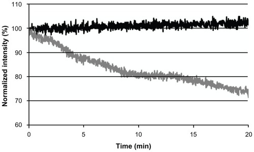 Figure 5 Photostability of the near-infrared fluorescent iron oxide-human serum albumin nanoparticles (black line) and free cyanine near-infrared fluorescent dye (gray line) as a function of time.Note: Samples of cyanine near-infrared fluorescent dye containing iron oxide-human serum albumin nanoparticles and free cyanine near-infrared fluorescent dye were illuminated with a Xenon flash lamp for 20 minutes as described in the experimental section.