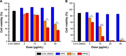 Figure 7 In vitro cell viability of A549 cells treated with Cur, PPH, and PPHC nanoparticles at various concentrations for (A) 24 h and (B) 72 h.Notes: The data are shown as mean ± standard error of mean (n=3). **P<0.01, ***P<0.001 for significance difference.Abbreviations: Cur, curcumin; PPH, 4-(hydroxymethyl) phenylboronic acid-modified PEG-grafted poly(acrylic acid) polymer; PPHC, curcumin-coordinated reactive oxygen species-responsive nanoparticle; DMSO, dimethyl sulfoxide.