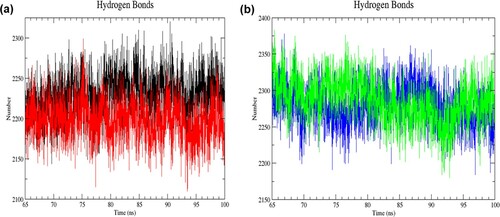 Figure 8. (Colour online) The number of intermolecular hydrogen bonds as a function of time from 65 to 100 ns of simulation. (a) Black denotes wild-type structure and red denotes mutant structure in the resting state. (b) Blue denotes wild-type structure and green denotes mutant structure in the activated state. Lesser intermolecular bonds were formed in the mutant than the wild-type structure in the resting state. The mutant structure had more intermolecular hydrogen bonds than the wild-type structure in the activated state.