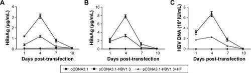 Figure 1 The expression of HBeAg, HBsAg, and HBV DNA in the serum of transfected rats. Rats were transfected with pCDNA3.1-HBV1.3 or pCDNA3.1, respectively. (A–C) The expression of HBeAg, HBsAg, and HBV DNA at different time points was detected through serological quantitation.
