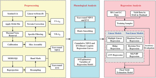 Figure 2. The research flowchart. VV and VH represented the polarisation of Sentinel-1 data. VV represented vertical transmitting and vertical receiving and VH represented vertical transmitting and horizontal receiving. The OAE is the office of agricultural economics of Thailand. MLP-BP is the multilayer perceptron BP neural network regression model.