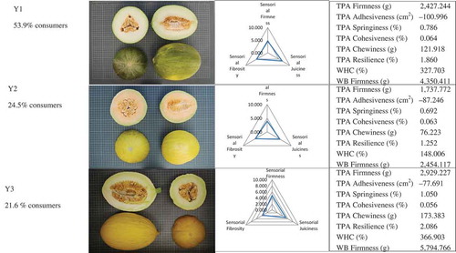 FIGURE 3 Three consumer typologies. The preferred melon type of each group. Sensory profile of texture. Mechanical instrumental results.