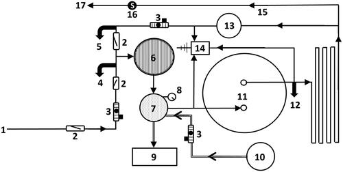 Figure 1. Diagram of hot water model system.(1) Makeup water supply line; (2) check valve to prevent backflow of water; (3) flow meter with adjustment valve; (4) sampling port valve for Incoming Supply Water; (5) sampling port valve for Hot Water Return; (6) 5 µm filter; (7) membrane contactor; (8) vacuum pressure gauge; (9) vacuum pump; (10) high purity nitrogen supply tank; (11) water heater tank; (12) sampling port valve for Hot Water Tank; (13) circulating water pump; (14) dissolved oxygen probe; (15) branch CPVC line; (16) electronic solenoid valve; (17) sampling port valve for Distal Fixture. Total volume of system is approximately 200 L.