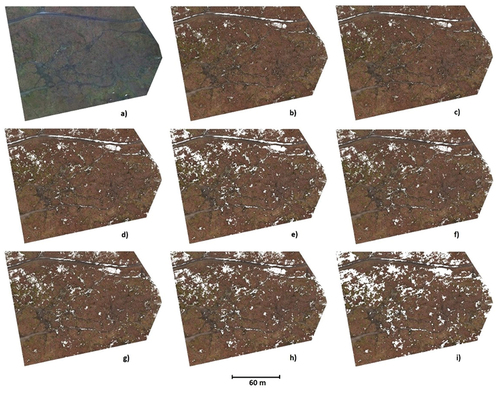 Figure 12. Site 2 “old forest with rugged terrain” – – terrain clouds acquired using: a) LiDAR-UAV; b) DAP-UAV (high quality, depth filtering disabled); c) DAP-UAV (high quality, mild depth filtering); d) DAP-UAV – (high quality, moderate depth filtering); e) DAP-UAV (high quality, aggressive depth filtering) f) DAP-UAV (medium quality, depth filtering disabled); g) DAP-UAV (medium quality, mild depth filtering); h) DAP-UAV (medium quality, moderate depth filtering); i) DAP-UAV (medium quality, aggressive depth filtering).