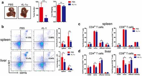 Figure 4. Systemic administration of recombinant IL-1α inhibits tumor development.