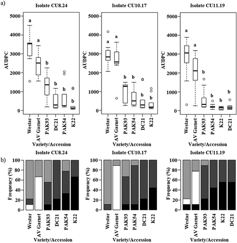 Fig. 2 (a) Area under the disease progress curve (AUDPC) using stem lesion length measurements for four Brassica napus accessions and two oilseed rape varieties, ‘Westar’ and ‘AV Garnet’ (germplasm set 2), inoculated with each of three Australian S. sclerotiorum isolates. Each box plot displays the median and the lower and upper quartiles. Letters above bars represent significant differences between entries as determined by ANOVA and Tukey’s HSD post-hoc test (P ≤ 0.005). (b) Stacked bar graph of stem lesion appearance 21 dpi; collapsed (white), soft (light grey), firm with small necrotic lesions (dark grey) and firm with small black lesions (black).