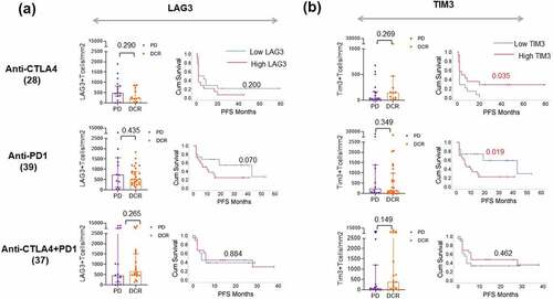 Figure 5. LAG3 and TIM3 expression in TME correlates with PFS under anti-PD1 treatment