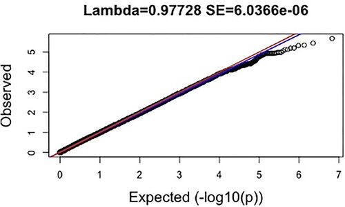 Figure 2. Quantile-quantile (QQ) plot for Meta-Analysed Findings; Note: The expected distribution of p-values is shown on the x-axis, while the observed distribution of p-values from GWAS of resilience is shown on the y-axis. All p-values are represented as – log10(P). The red and blue lines represent 95% confidence intervals.