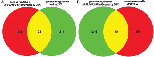 Figure 2. RNA-seq analysis of ARF3 regulated genes in floral meristem development and gynoecium development. ARF3 up-regulated genes (A) and down-regulated genes (B) in early flower development and gynoecium development were analyzed. The numbers of altered genes are indicated in the pie chart.