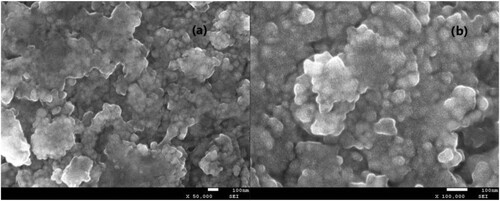 Figure 3. SEM images of fresh (a) and six times recycled Ti/TiO2-CNT-Pt (b).