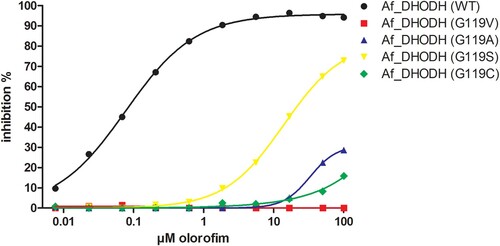 Figure 2. IC50s of wildtype and mutant DHODH. The inhibition of DHODH activity by a range of olorofim concentrations was measured for the recombinant wild type Af293 enzyme and the Gly119 mutants indicated. Lines were fitted using log (inhibitor) vs response – Variable slope (four parameters) in Graphpad Prism. R squares were 0.998 for Af_DHODH (WT), 0.556 for Af_DHODH (G119V), 0.924 for Af_DHODH (G119A), 1.000 for Af_DHODH (G119S) and 0.9680 for Af_DHODH (G119C).