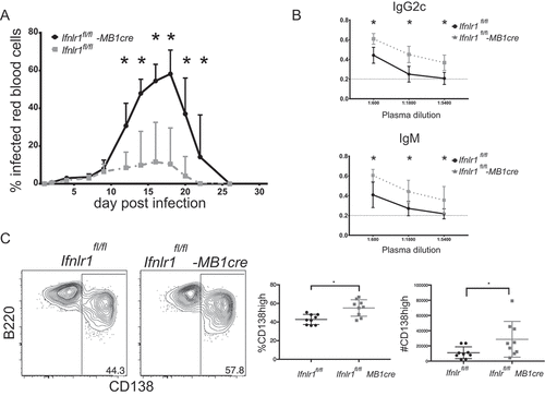 Figure 5. Improved control of blood-stage infection with absence of Interferon lambda-specific B cells.