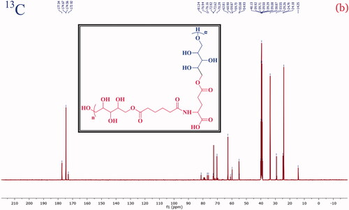 Figure 3. The carbon (13C) NMR spectrum of the PXAG copolymer.