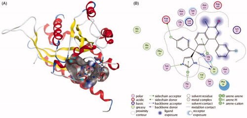 Figure 1. The interactions between Tipifarnib and RAB27A from molecular docking. (A) The pocket is shown in electrostatics representation. (B) The two-dimensional schematic representation of the Rab27a and Tipifarnib complex interactions. Red, yellow, blue and white ribbons: RAB27A. The binding surfaces are identified in grey. The molecular structures of Tipifarnib is displayed by purple ball-and-stick models. Green lines indicate pi-pi stacking interactions, and purple dashed arrows represent sidechain hydrogen bond interactions. Polar and hydrophobic residues are depicted with green and pink circles, respectively.