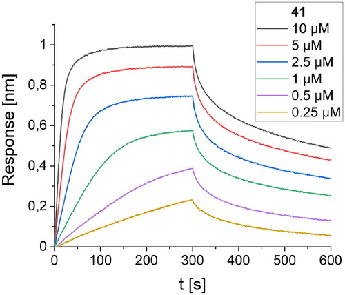 Figure 10. BLI-based screening of the binding affinity properties of peptide 41 towards RBD. Association and dissociation steps are given for different concentrations of peptide 41, ranging from 0.25 to 10 µM.