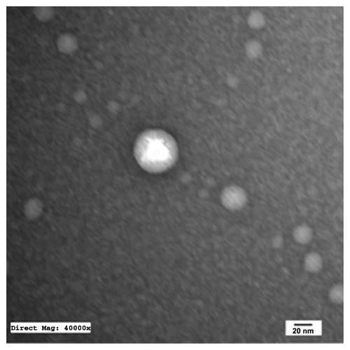 Figure 7 Transmission electron microscopy photograph of drug-loaded alkalinized self-nanoemulsifying system with 1000-fold dilution in distilled water (×40,000).