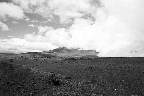 FIGURE 1. Western side of Volcán Chimborazo with the sparse, desert-like páramo vegetation of the Arenal Grande (4200 m). The clouds coming from the east apparently cannot penetrate above the Arenal and form a “climatic” border.