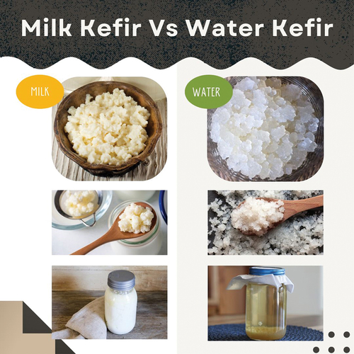 Figure 1. Kefir grains.