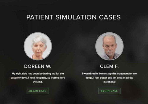 Figure 1. Patient Simulation